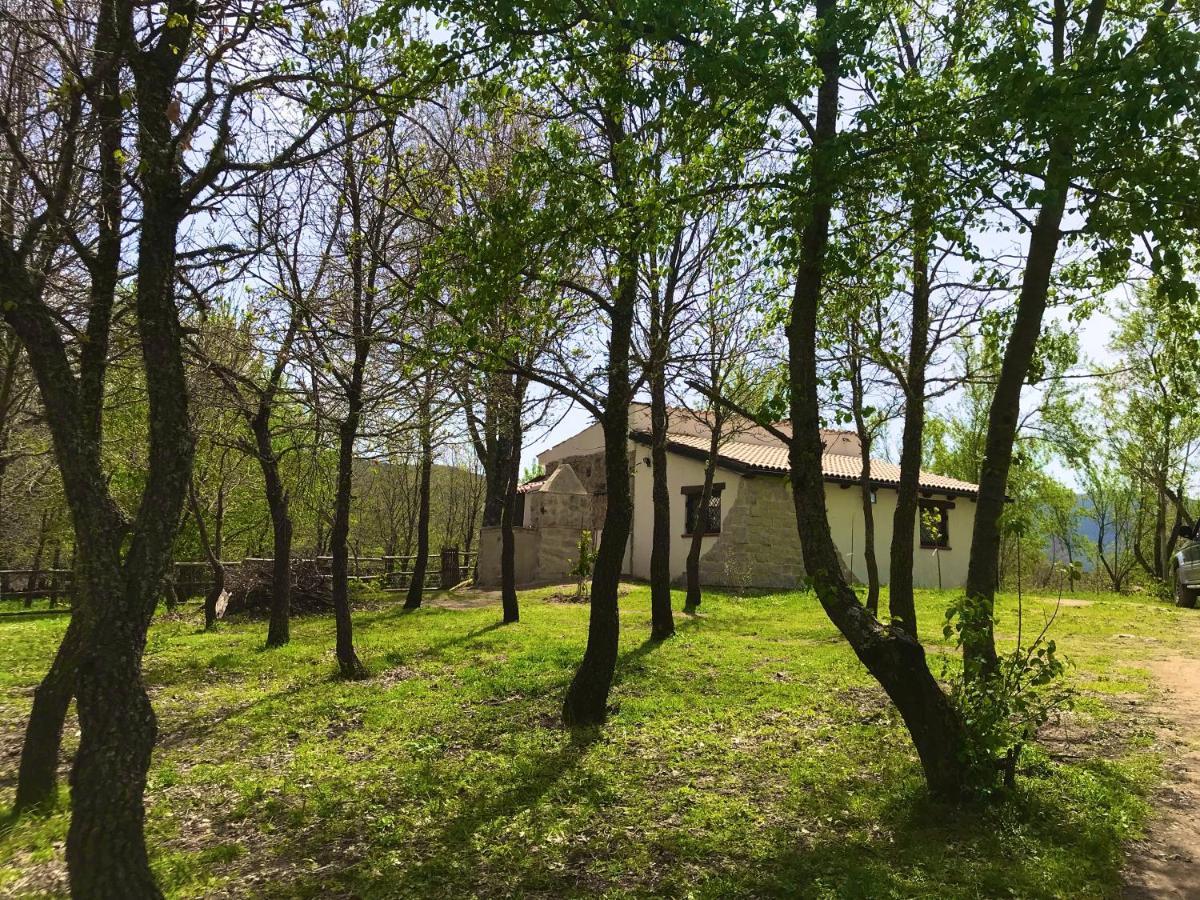 Ovostolai Cottage Fonni Zewnętrze zdjęcie