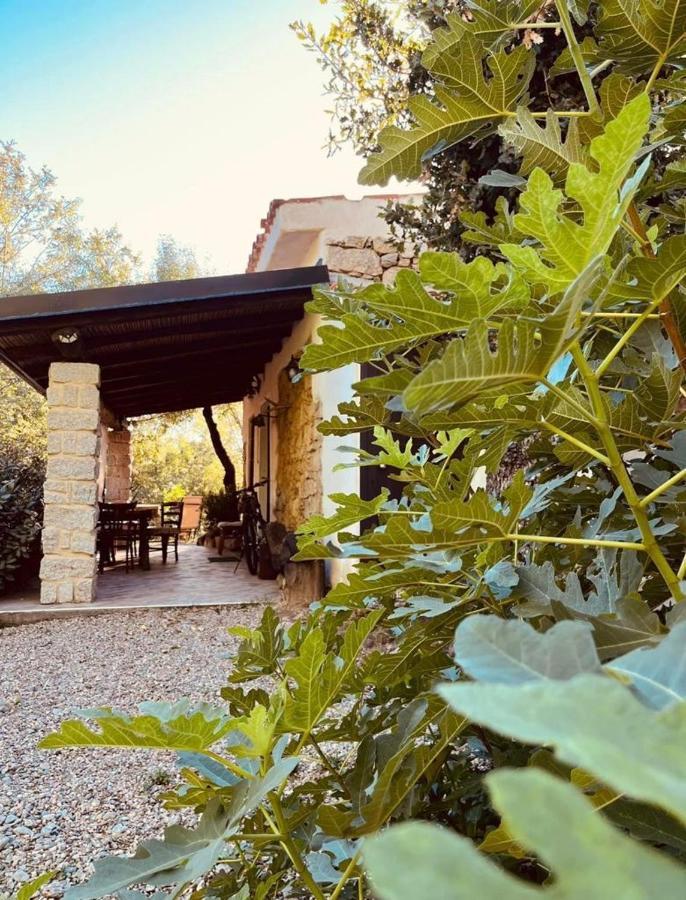 Ovostolai Cottage Fonni Zewnętrze zdjęcie