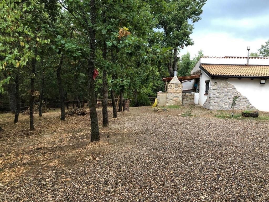 Ovostolai Cottage Fonni Zewnętrze zdjęcie