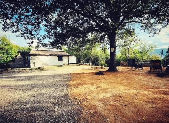 Ovostolai Cottage Fonni Zewnętrze zdjęcie