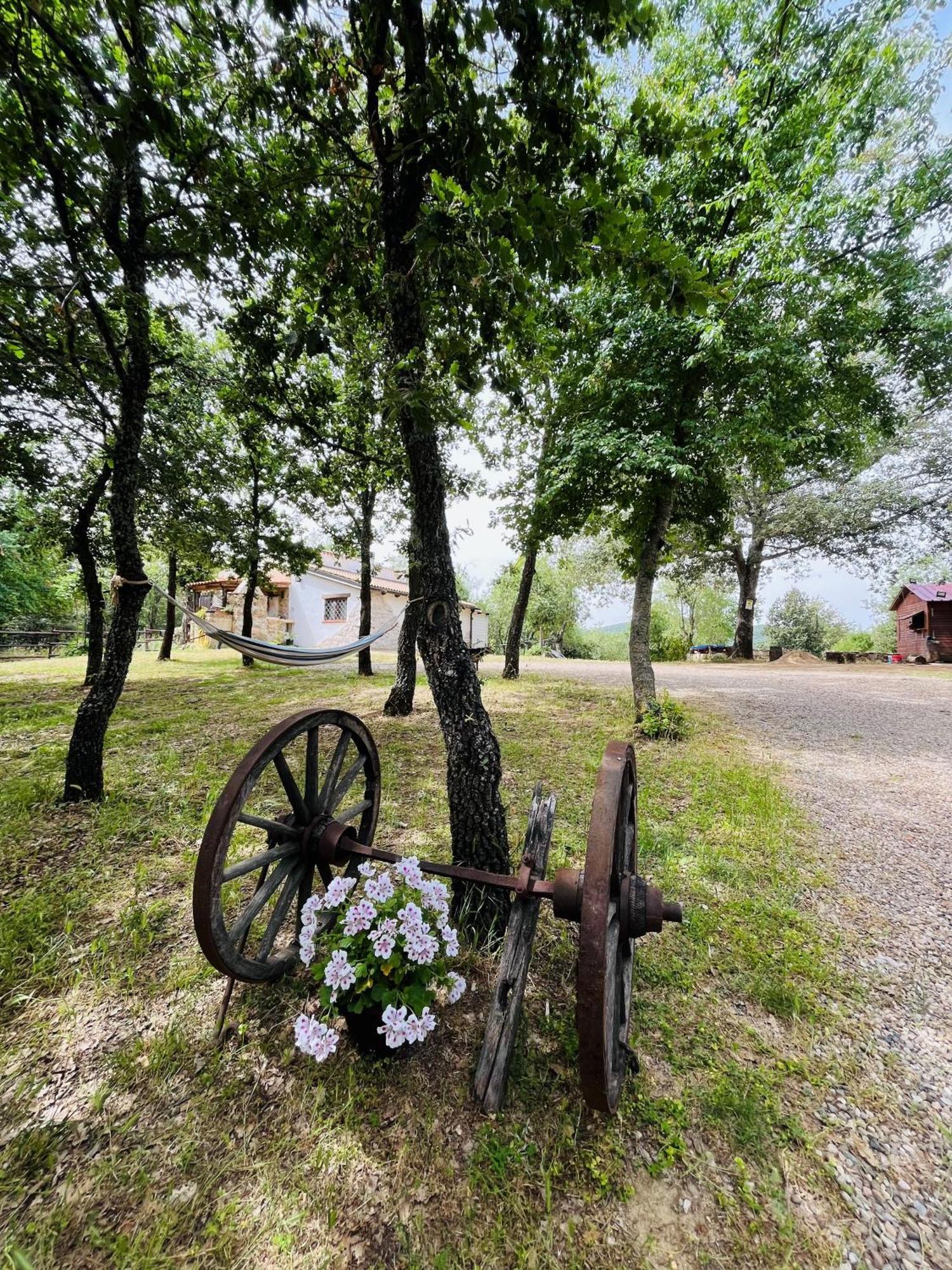 Ovostolai Cottage Fonni Zewnętrze zdjęcie